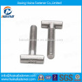 Stainless Steel ss316 T Bolt